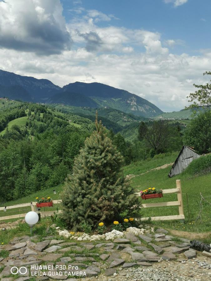 Cabanuta Din Munti Hotel Moieciu de Jos Eksteriør billede