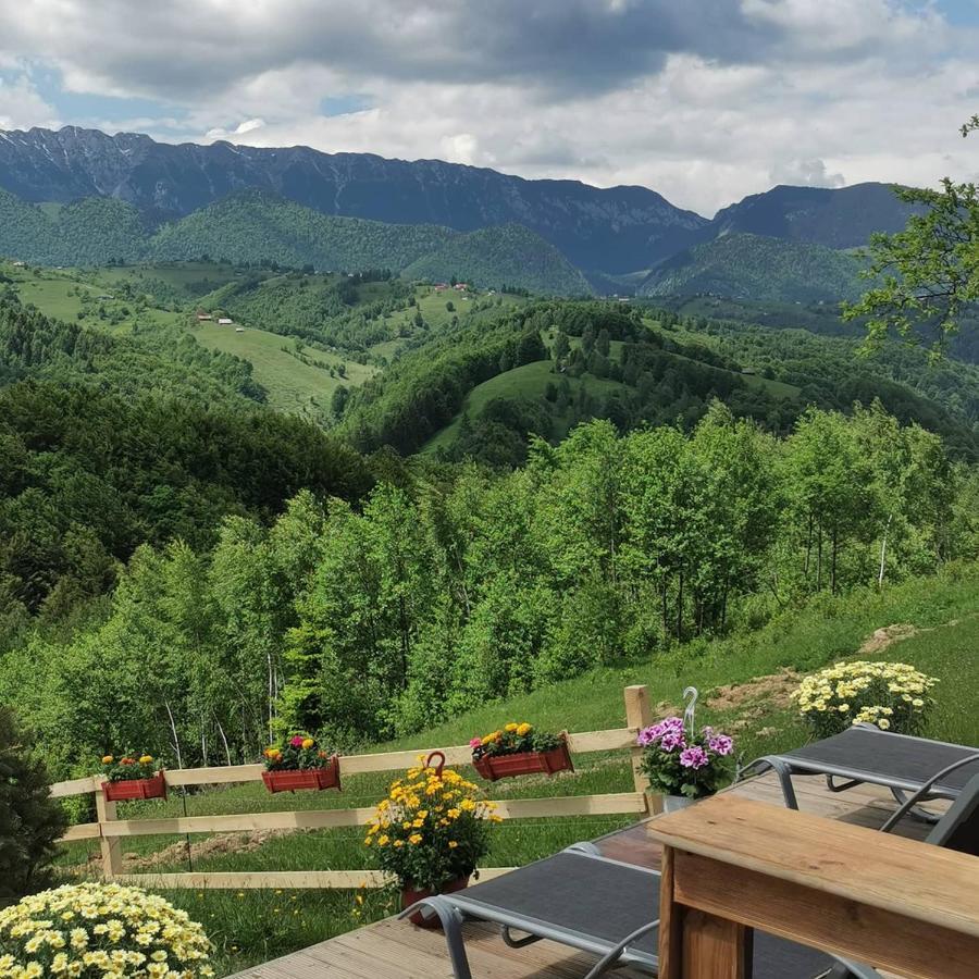 Cabanuta Din Munti Hotel Moieciu de Jos Eksteriør billede