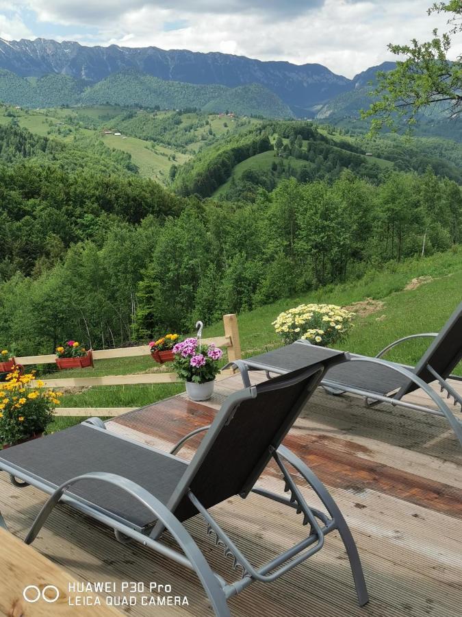 Cabanuta Din Munti Hotel Moieciu de Jos Eksteriør billede